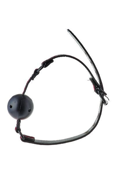 Кляп BLAZE DELUXE BREATHABLE BALL GAG DT21533 фото