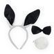Набір для зайки Kinky Pleasure Bunny Tiara & Bunny Tail 20-PL003 фото 1